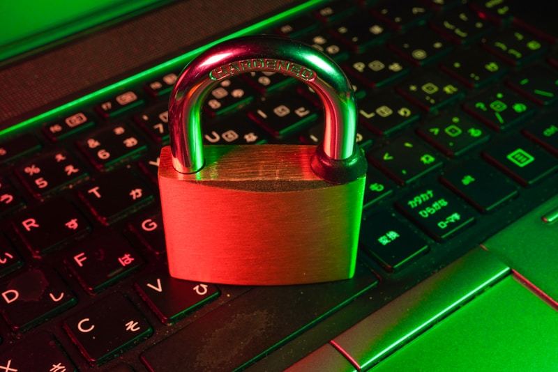 Sajber kriminal i krađa identiteta na internetu
