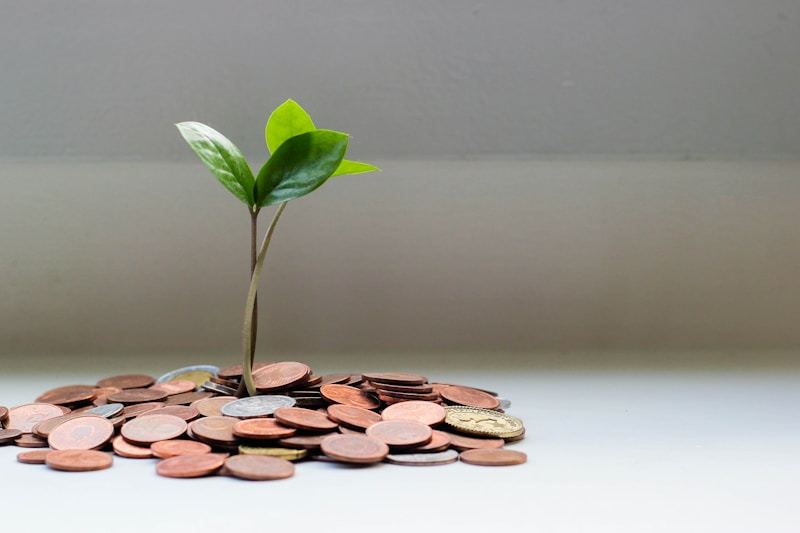 Pasivni prihod i investiranje novca