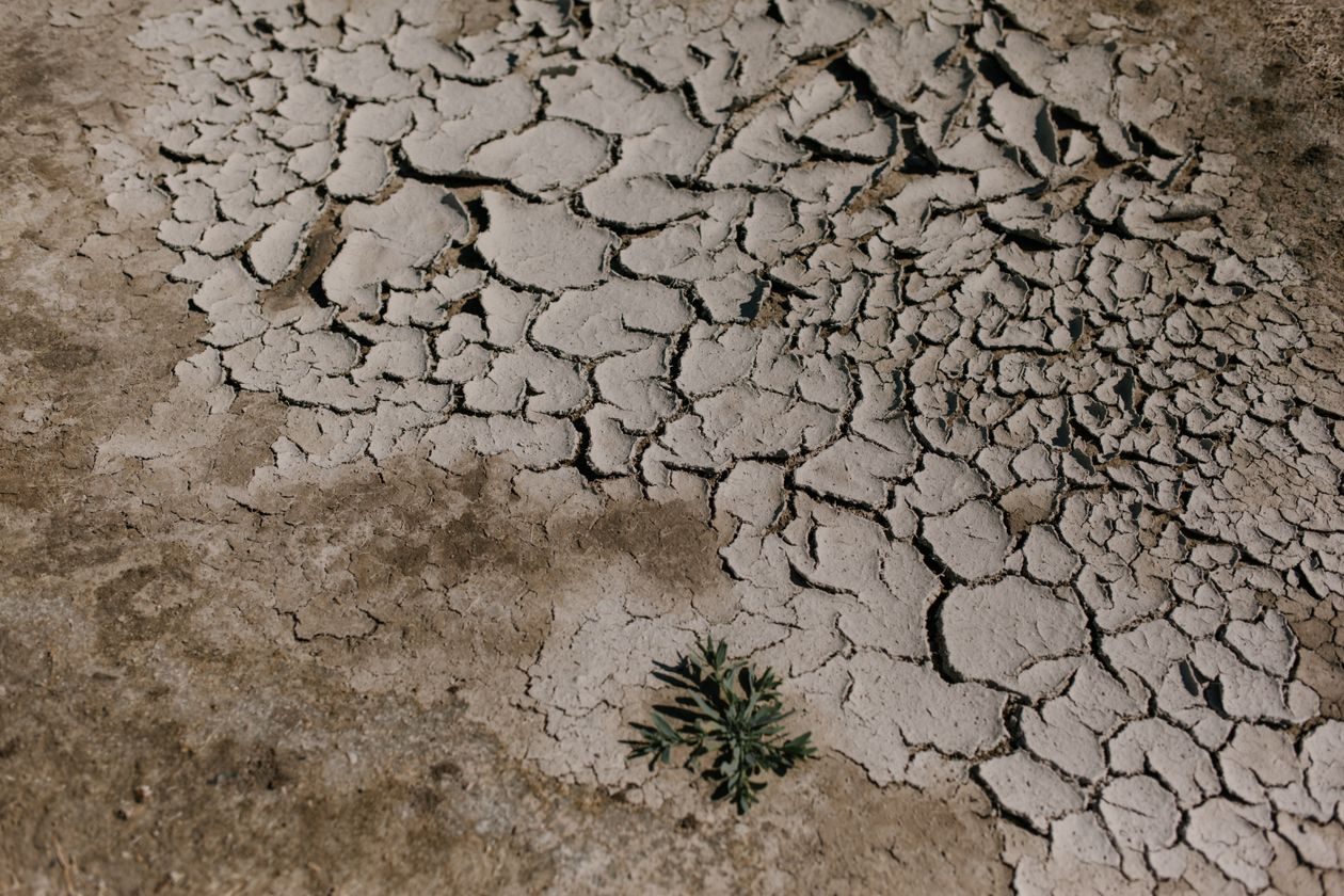Klimatske promjene i njihov uticaj na globalnu poljoprivredu