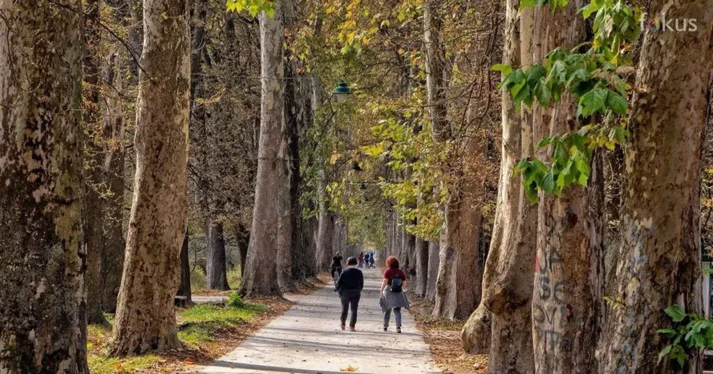 Objavljena prognoza za sljedeću sedmicu, temperature će ići i do 25 stepeni