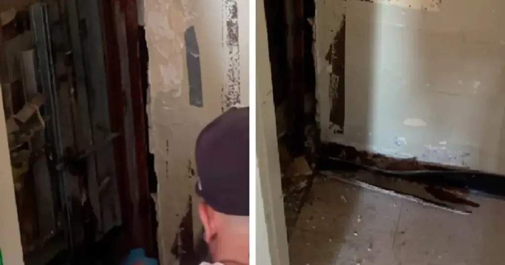 Godinama se nije mogla riješiti štakora, a onda je shvatila odakle dolaze. Snimak je zgrozio milione