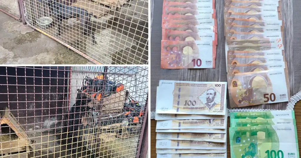 Policija pretresala lokacije na kojima se organizuju borbe pasa, oduzeti novac i dva psa
